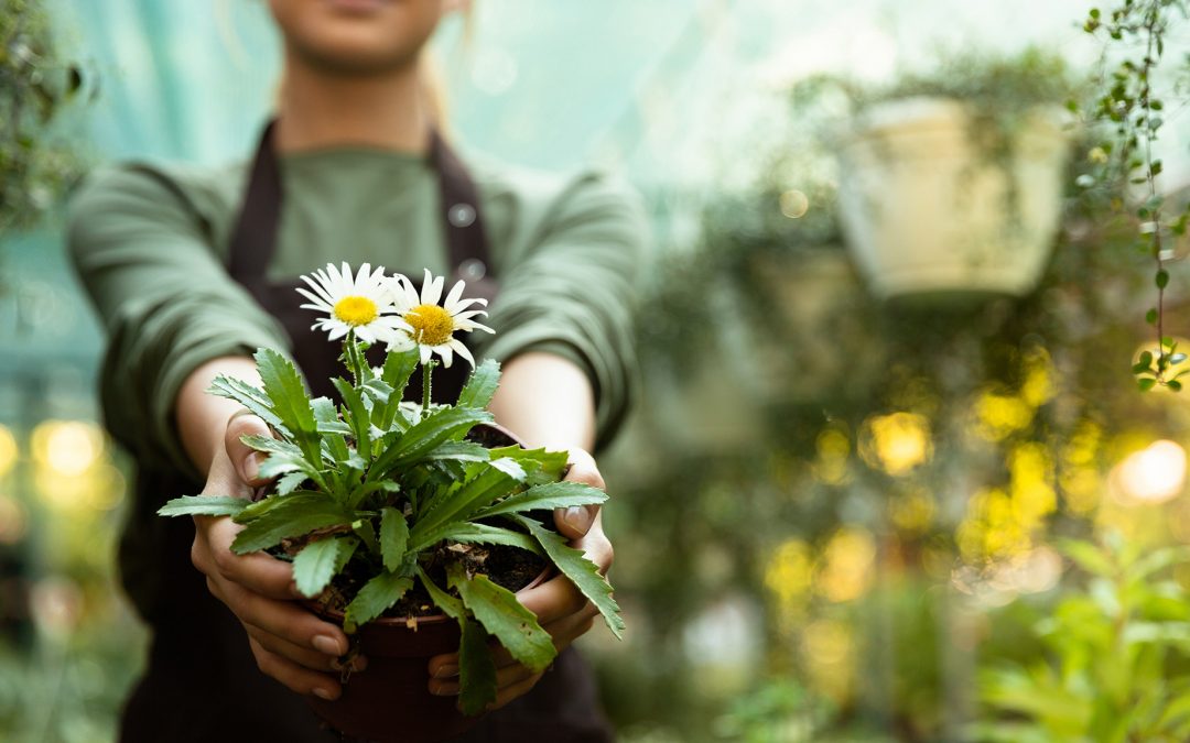 Garten- und Landschaftsbau Fasselt entwickelt individuelle Gartenkonzepte