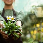 Garten- und Landschaftsbau Fasselt entwickelt individuelle Gartenkonzepte