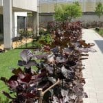 Galabau Fasselt Objektbegrünung