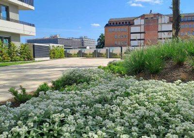 Außenanlagen für Wohnquartier und Kindergarten in Düsseldorf