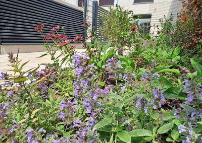 Außenanlagen für Wohnquartier und Kindergarten in Düsseldorf