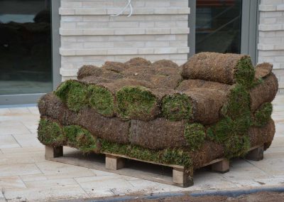 Außenanlagen für Wohnquartier und Kindergarten in Düsseldorf