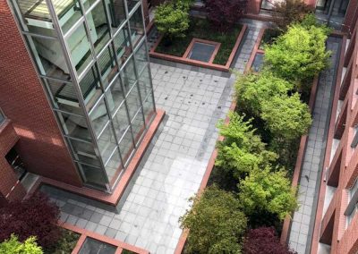 Bepflanzung des Atriums Düsseldorf