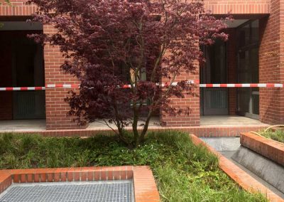 Bepflanzung des Atriums Düsseldorf