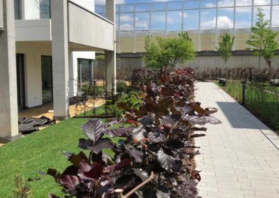 Außenanlage Wohnquartier in Duisburg