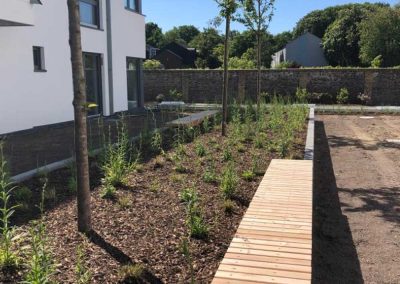 Außenanlage Wohnquartier in Duisburg