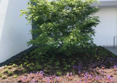 Außenanlage Wohnquartier in Duisburg