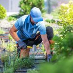Garten- und Landschaftsbau Fasselt Begrünung