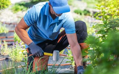 Fachkräfte und Quereinsteiger gesucht – Karriere im Garten- und Landschaftsbau