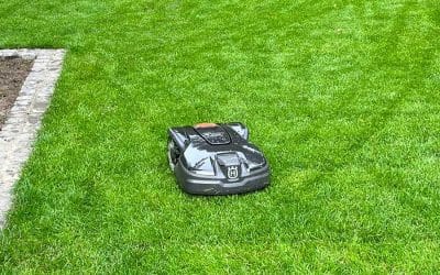 Rasenanlage für eine Stadtvilla in Düsseldorf